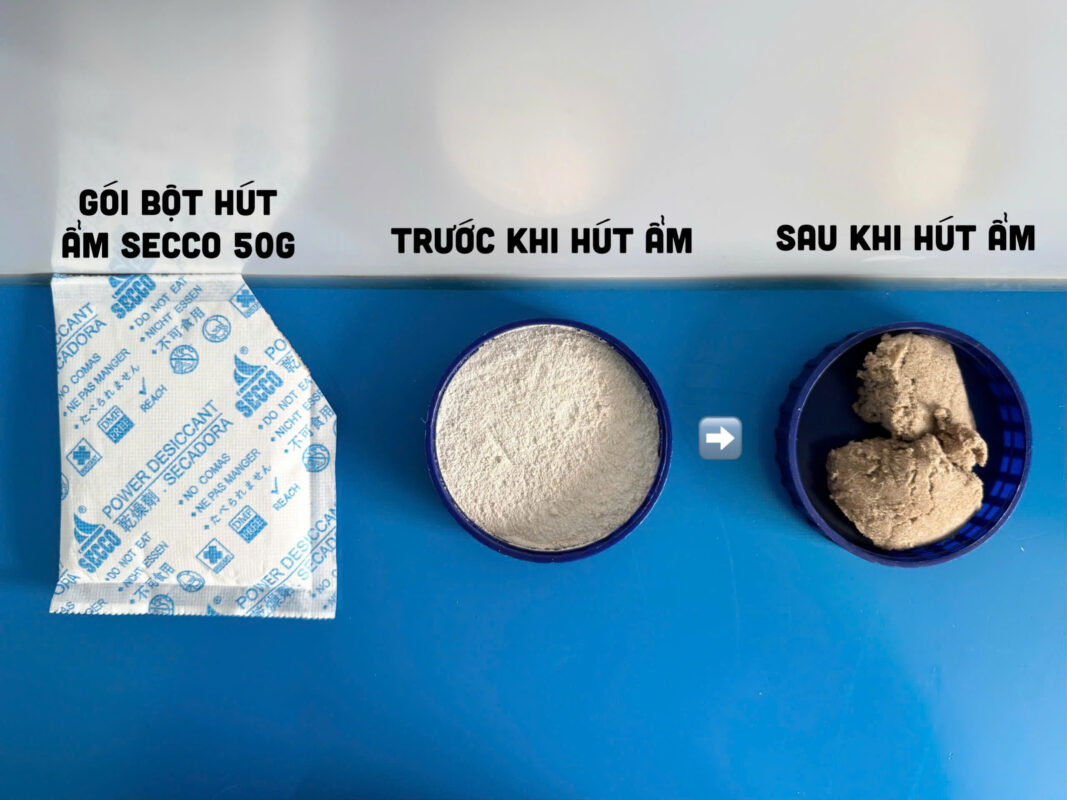 Thịnh Phong