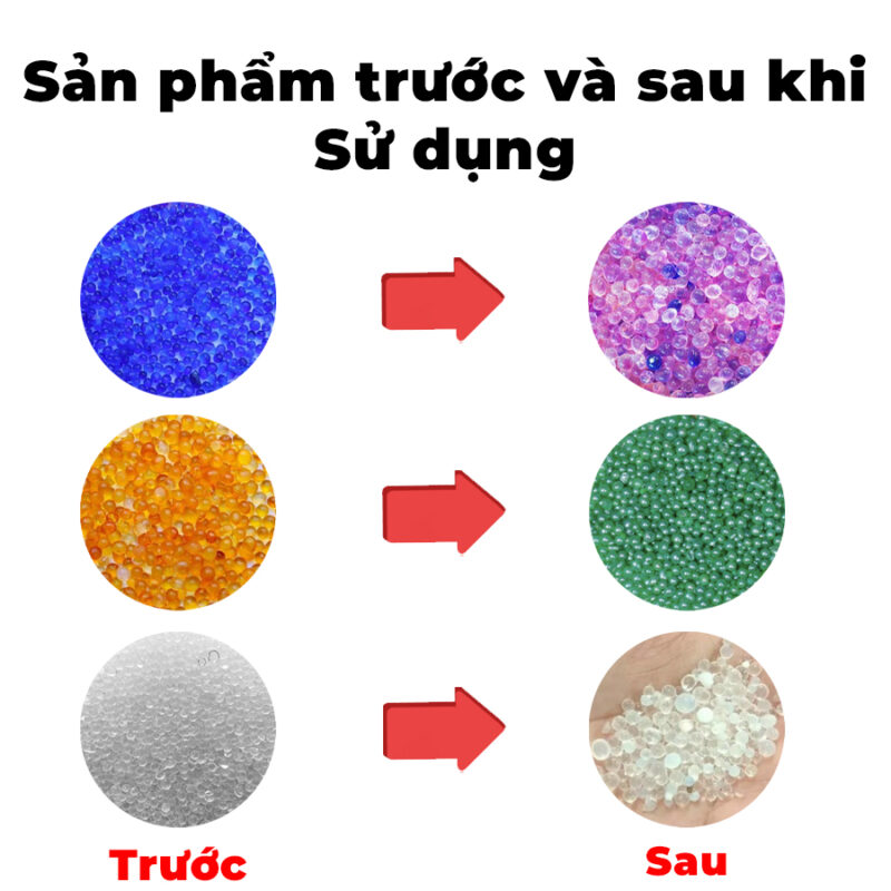 Thịnh Phong