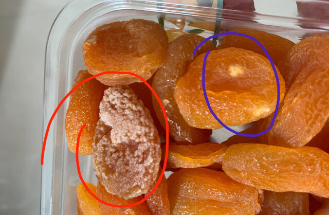 Thực phẩm bị nấm mốc do độ ẩm cao