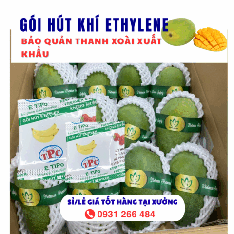 Xoài xuất khẩu thường sử dụng giải pháp kiểm soát Ethylene để kéo dài thời gian bảo quản.